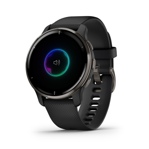 Garmin Venu 2 Plus Black + Slate