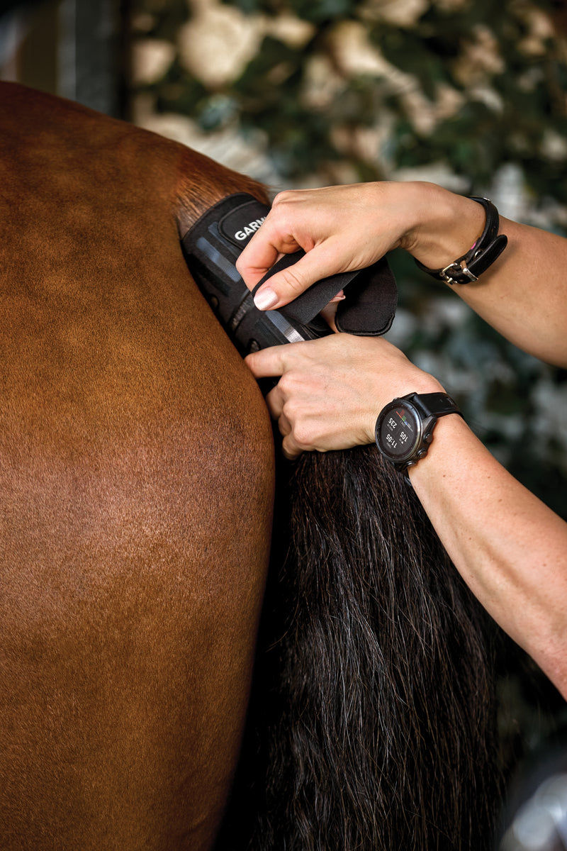 Blaze™ Equine wellness system