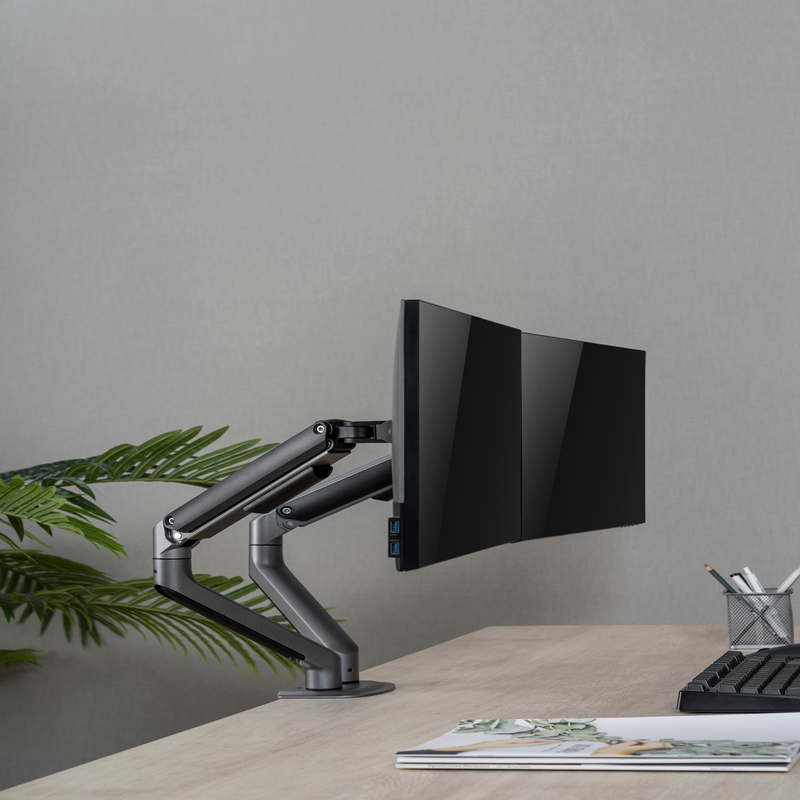 Ergo Vista Dual Monitor Arm