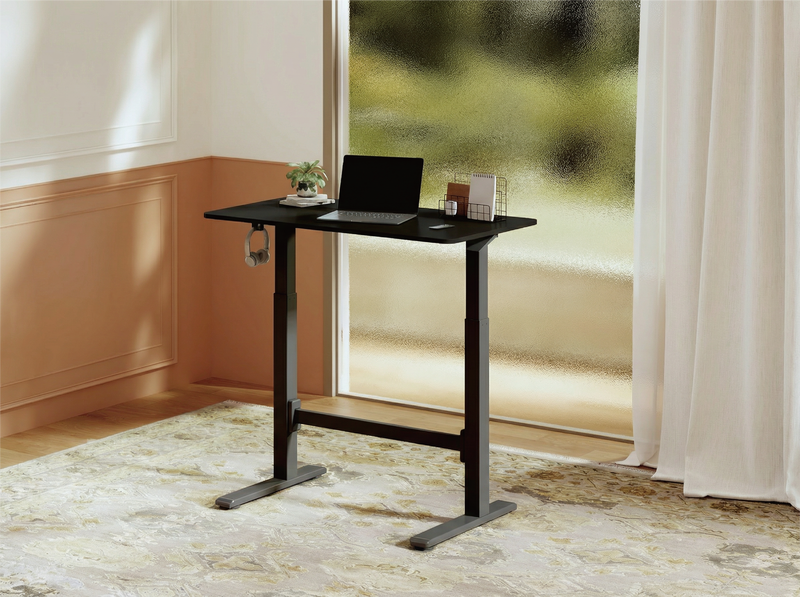 FlexiSpot H7 Gas Spring Height Adjustable Desk