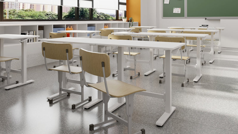 FlexiSpot H7 Gas Spring Height Adjustable Desk
