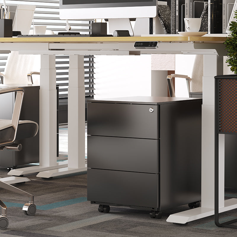 FlexiSpot RC2 Cabinet